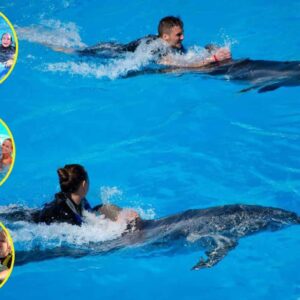 поплавать-с-дельфинами-в-хургаде-плавание-с-дельфинами-плавать-хургада