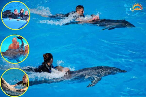 поплавать-с-дельфинами-в-хургаде-плавание-с-дельфинами-плавать-хургада